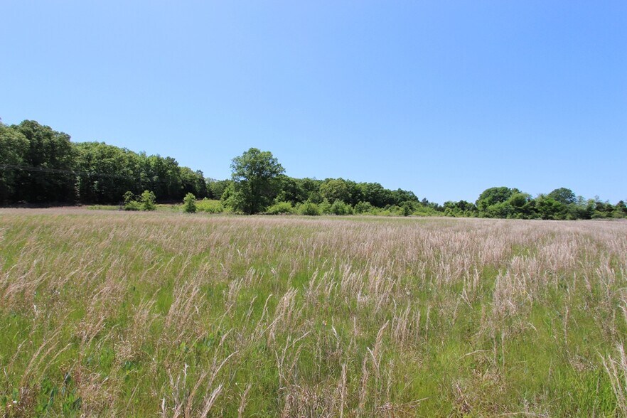 More Photos Of 278 Highway 64 E, Conway Land For Sale