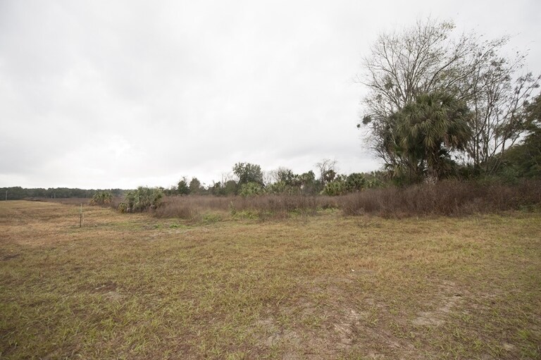 More Photos Of 13101 Rachael Blvd, Alachua Land For Lease