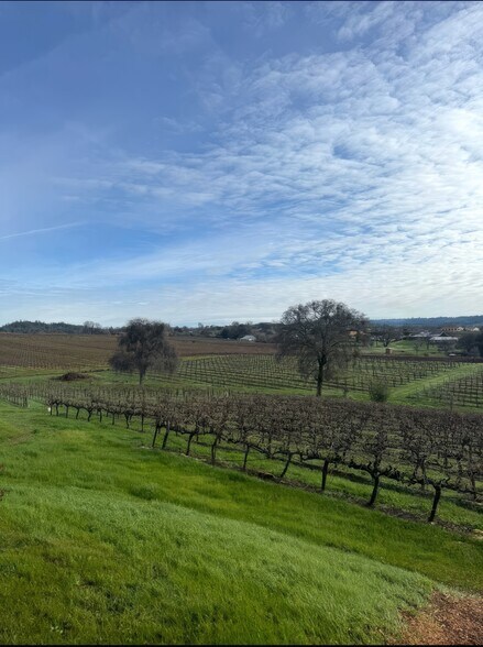 More Photos Of 10580 Dickson Rd, Plymouth Winery Vineyard For Sale