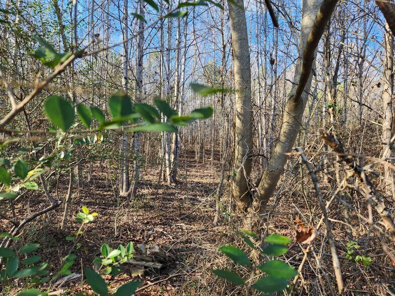 More Photos Of 1310 Mayflower Rd, Sale Creek Land For Sale