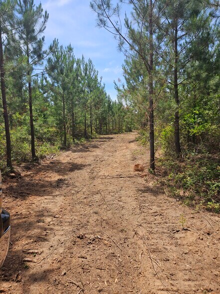 More Photos Of 0 Huffman Ave, Connelly Springs Land For Sale
