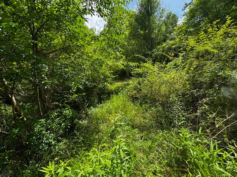 More Photos Of 11061 NC-294 Hwy, Murphy Land For Sale