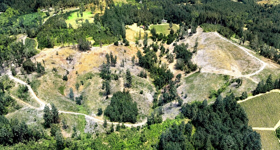 More Photos Of 16233 Orchard View RD, McMinnville Land For Sale