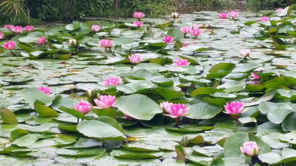 More Photos Of 1524 Brookhollow Dr, Santa Ana Coworking Space