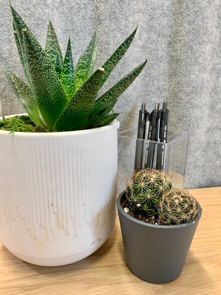 More Photos Of 146 Chemawa Rd N, Keizer Coworking Space