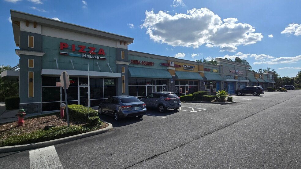 More Photos Of 30000-30036 County Line Rd, Wesley Chapel Storefront Retail Office For Sale