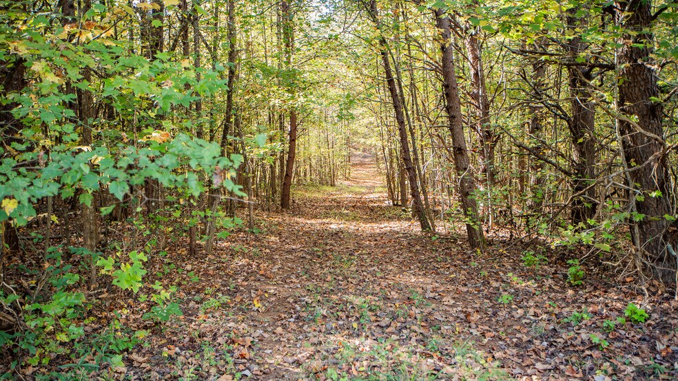 More Photos Of 00 Industrial Park Rd, Lincolnton Land For Sale