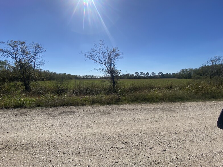 Primary Photo Of CR 62 @ East of Hwy 288, Iowa Colony Land For Sale