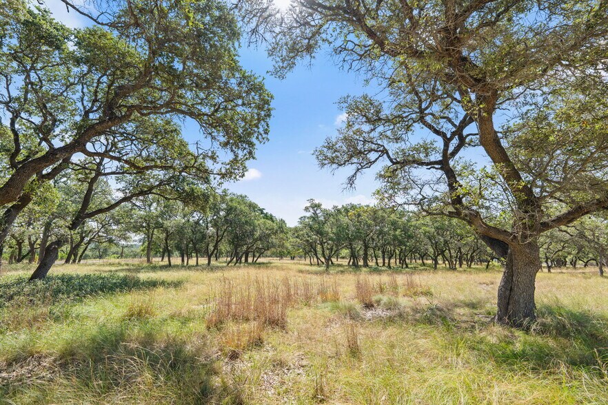 More Photos Of 443 Ammann Rd, Fair Oaks Ranch Land For Sale