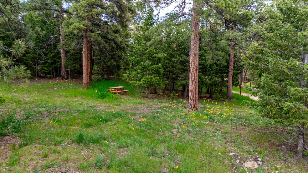 More Photos Of 8537 S Doubleheader Ranch Rd, Morrison Specialty For Sale