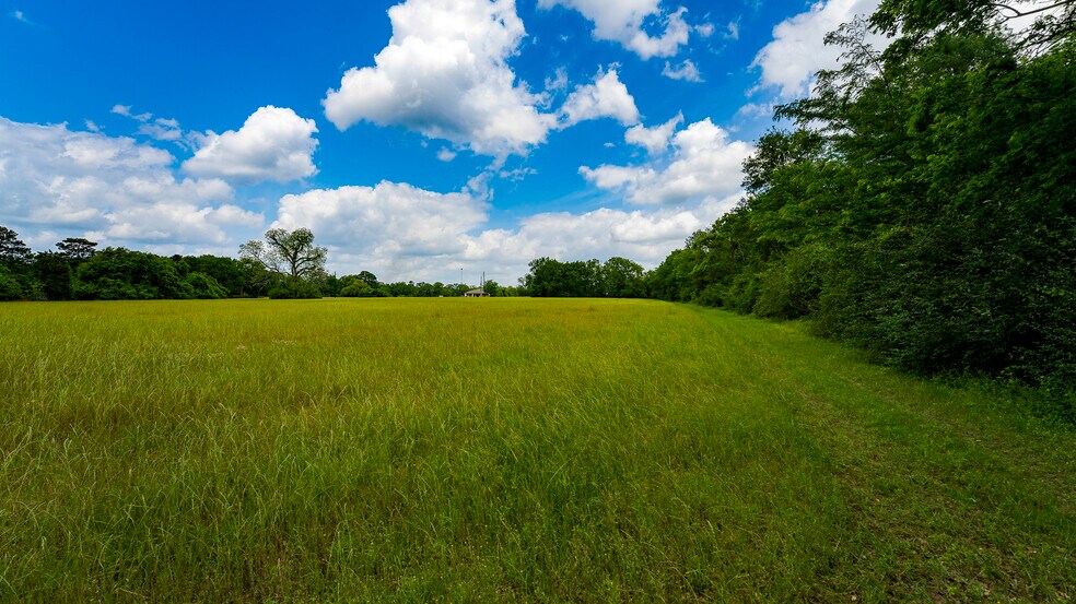 More Photos Of 000 Farm to Market Road 1488, Magnolia Land For Sale