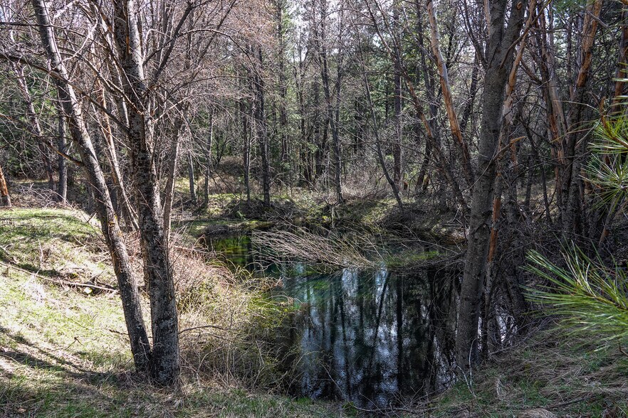 More Photos Of 6409 Kangaroo Creek Rd, Gazelle Land For Sale