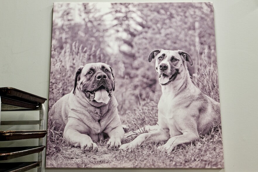 More Photos Of 3145 Dundas St W, Mississauga Storefront Retail Office For Lease