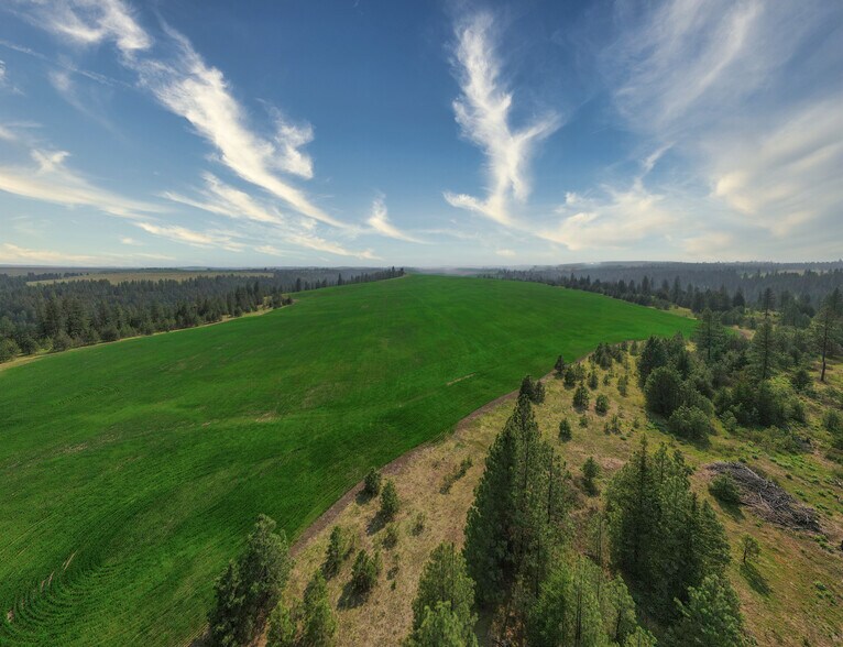 More Photos Of 45XXX Devore Rd, Davenport Land For Sale