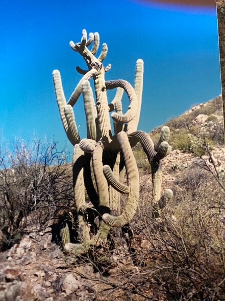 More Photos Of Lake Pleasant/ Cow Creek Road, Phoenix Land For Sale