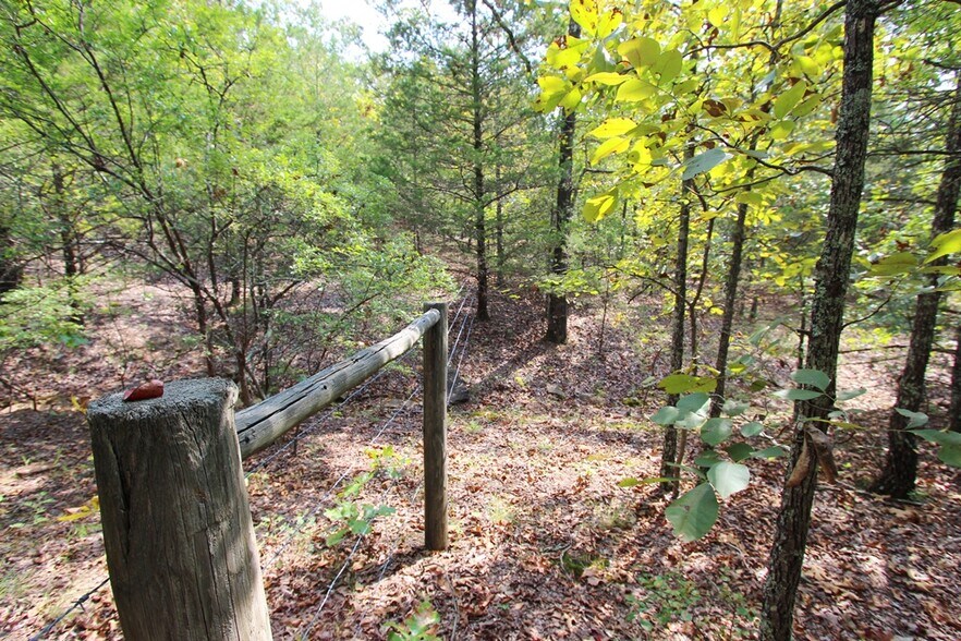 More Photos Of 226 Blythe rd, Greenbrier Land For Sale