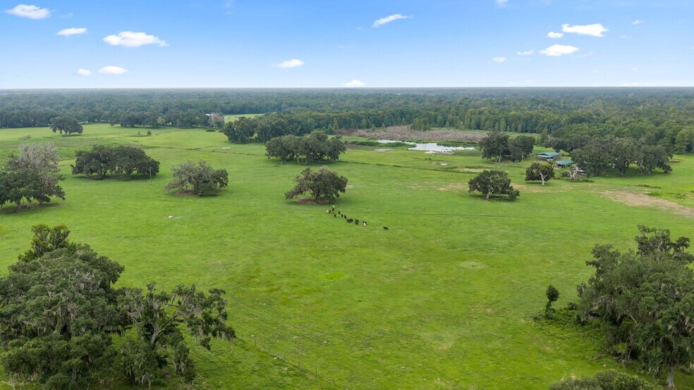 More Photos Of CR 774, Webster Land For Sale