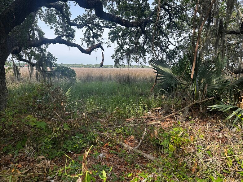 More Photos Of 2342 Parsonage Rd, Charleston Land For Sale