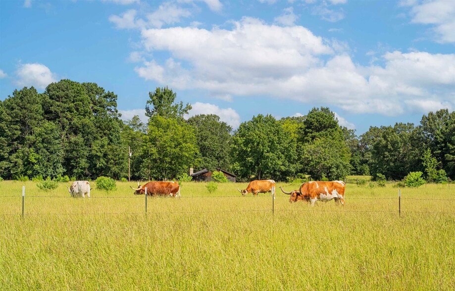 More Photos Of 14284 State Highway 322 N, Kilgore Lodge Meeting Hall For Sale