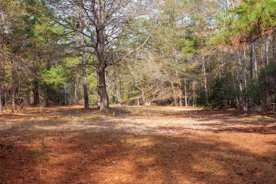 More Photos Of 409 Windward Ave, Orangeburg Land For Sale