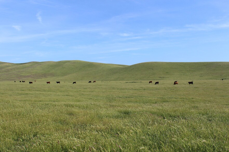 More Photos Of 7010 Vallecitos Rd, Sunol Land For Sale