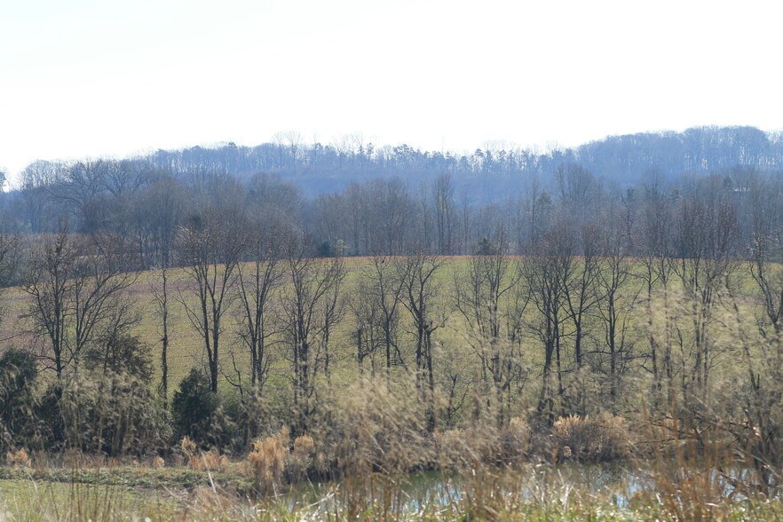 More Photos Of 5690 Rocky Mount Church Rd, Polkton Land For Sale