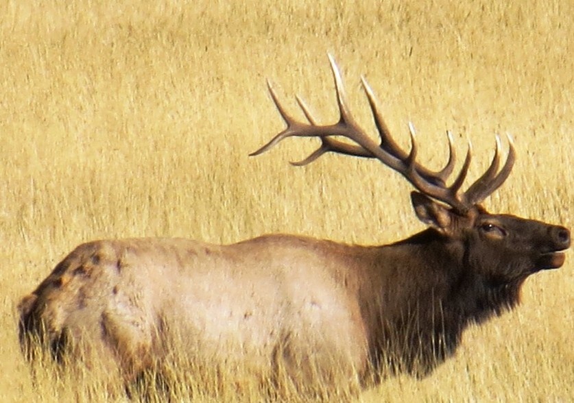 More Photos Of 4 Maiden Basin Dr, Gardiner Hospitality For Sale