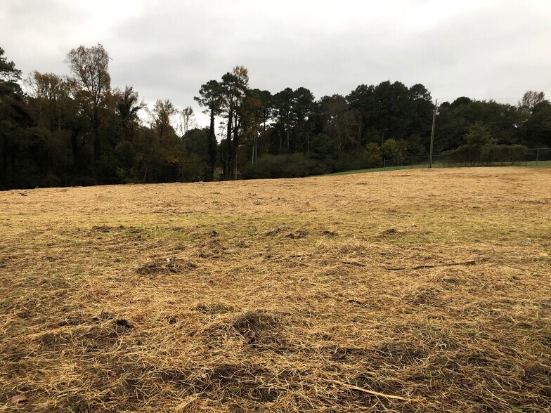 More Photos Of 10065 US Highway 431, Albertville Land For Sale
