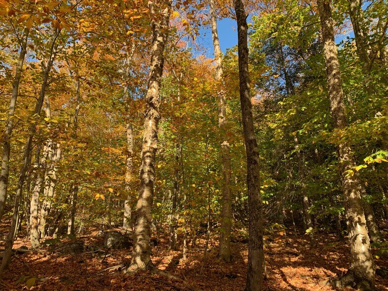 More Photos Of Ch Chemin du Lac-La Salle, Val-morin Land For Sale