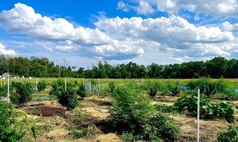 More Photos Of 149 Brindletown Rd, New Egypt Land For Lease