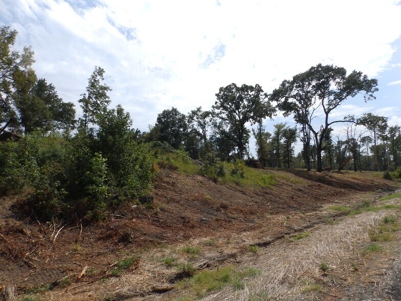 More Photos Of 16393 Highway 31, Tyler Land For Sale