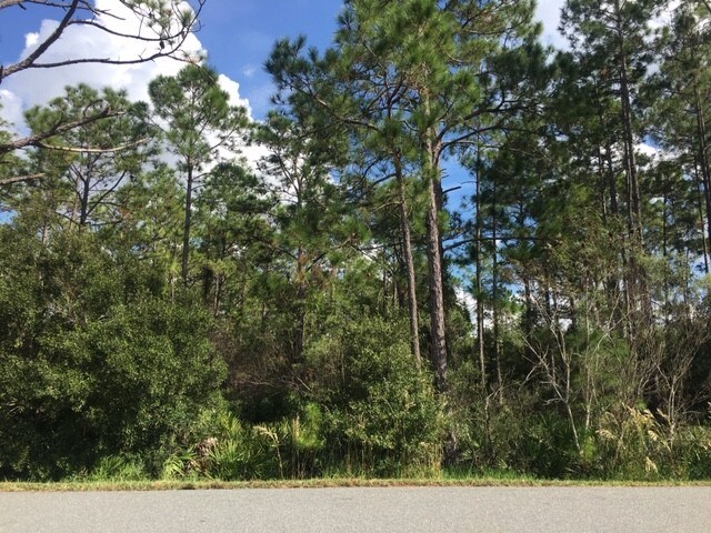 More Photos Of 7929 S Suncoast Blvd, Homosassa Land For Sale