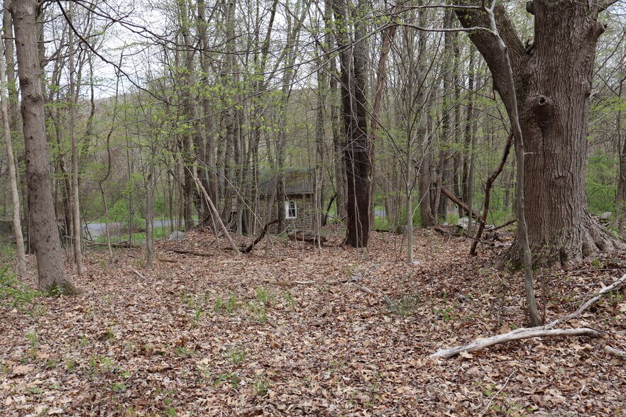 More Photos Of 330 Plutarch Rd, Highland Land For Sale