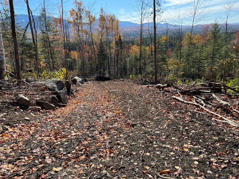 Primary Photo Of 370 Route 3 N, Carroll Land For Sale