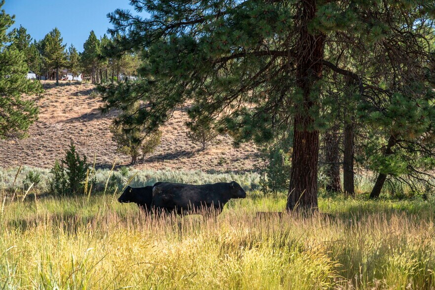More Photos Of 32611 Tackman Rd, Prineville Land For Sale
