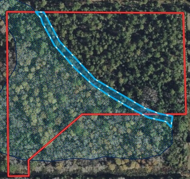 More Photos Of 0 US 17 Hwy, Pierson Land For Sale