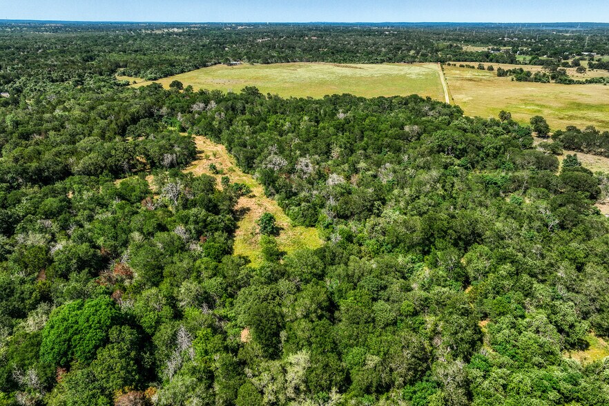 More Photos Of TBD (+/-88 Acres) Smith Rd, Bastrop Land For Sale