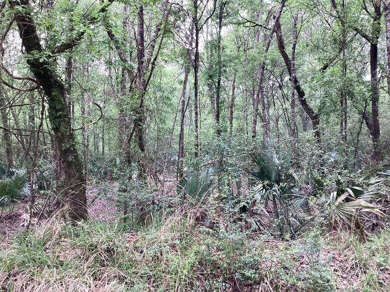 More Photos Of 0 County Road 4876, Dayton Land For Sale