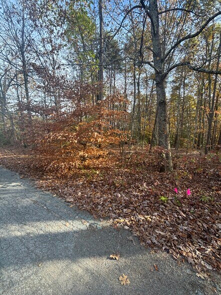 More Photos Of 3207 Broad st, Gum Spring Land For Sale