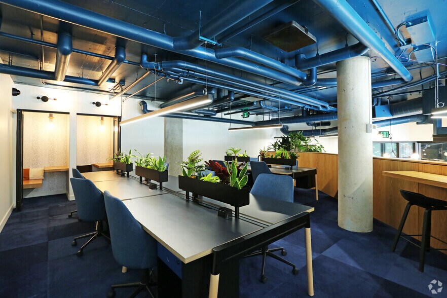 More Photos Of 6717 Roosevelt Way NE, Seattle Apartments For Lease