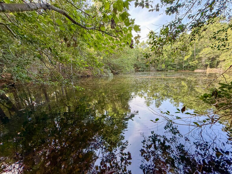 More Photos Of 3.39 Acres, FM 787, Saratoga Land For Sale