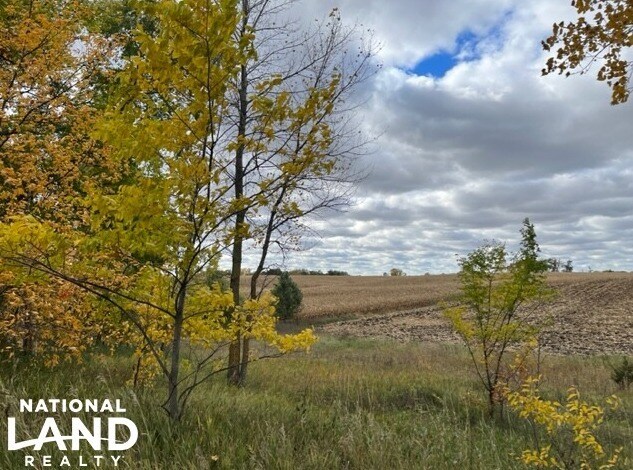 More Photos Of 820 Johnson Ave SW, Cokato Land For Sale