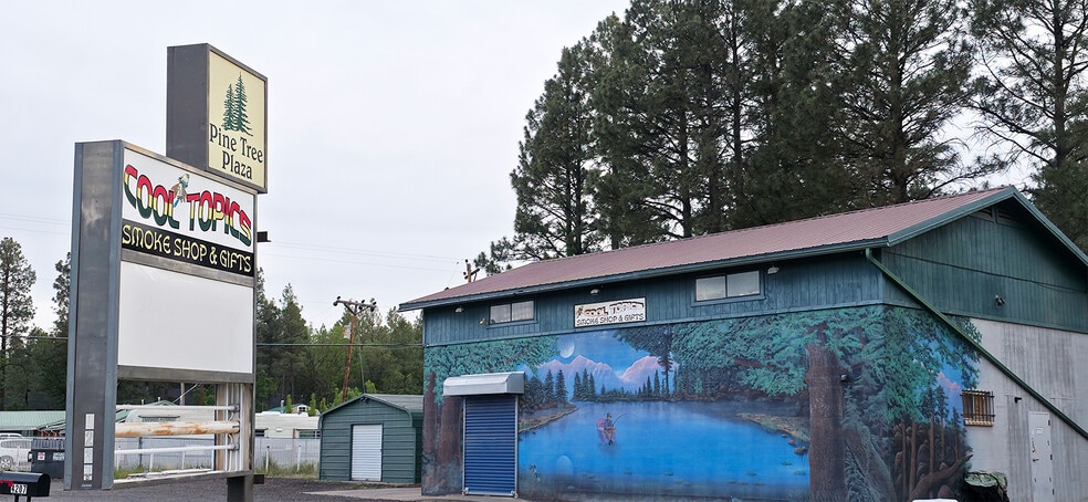 Primary Photo Of 4237 W White Mountain Blvd, Lakeside General Retail For Lease