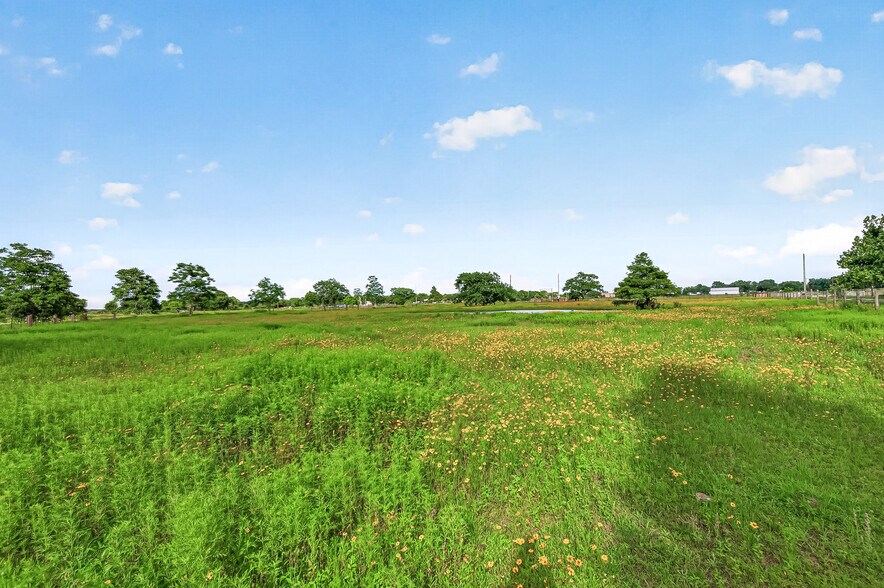 More Photos Of 0 FM 1994 Road, Guy Land For Sale