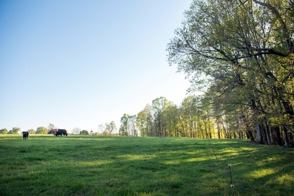 More Photos Of 115 Kidd Rd, Colfax Land For Sale