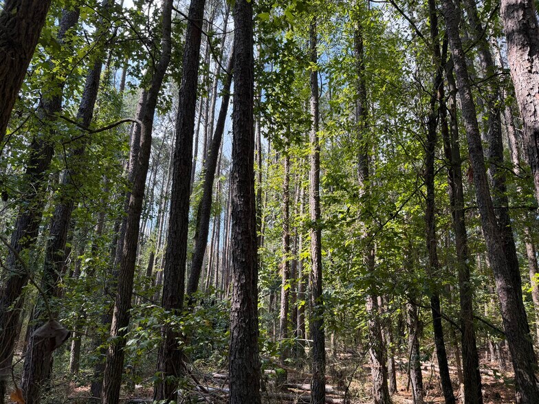More Photos Of 107 Popham rd, Taylorsville Land For Sale