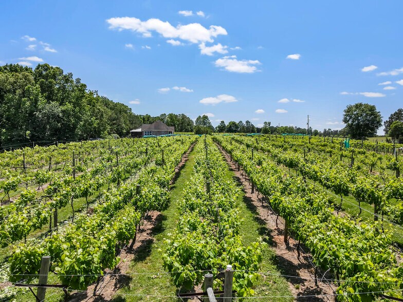 More Photos Of 665 N Hulett Rd, Villa Rica Winery Vineyard For Sale