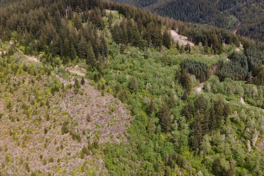 More Photos Of 0 Snag Mountain Road, Washougal Land For Sale