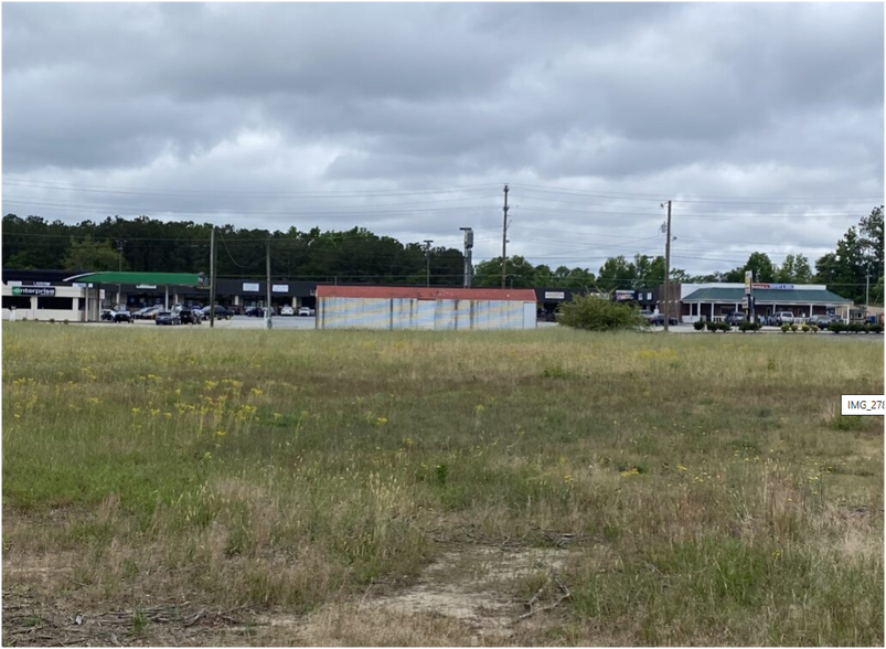 Primary Photo Of 2044 Wilson Rd, Newberry Land For Sale