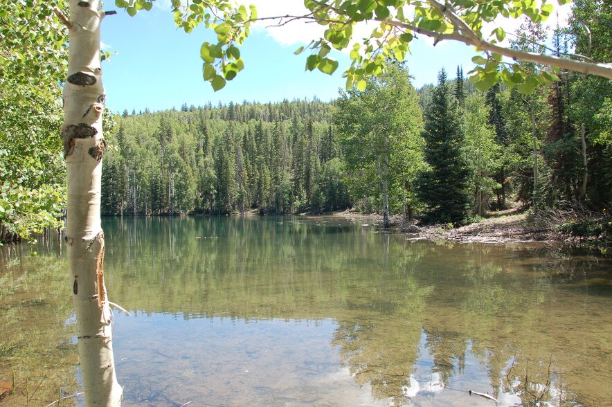 More Photos Of Lake Beaver E, Beaver Land For Sale